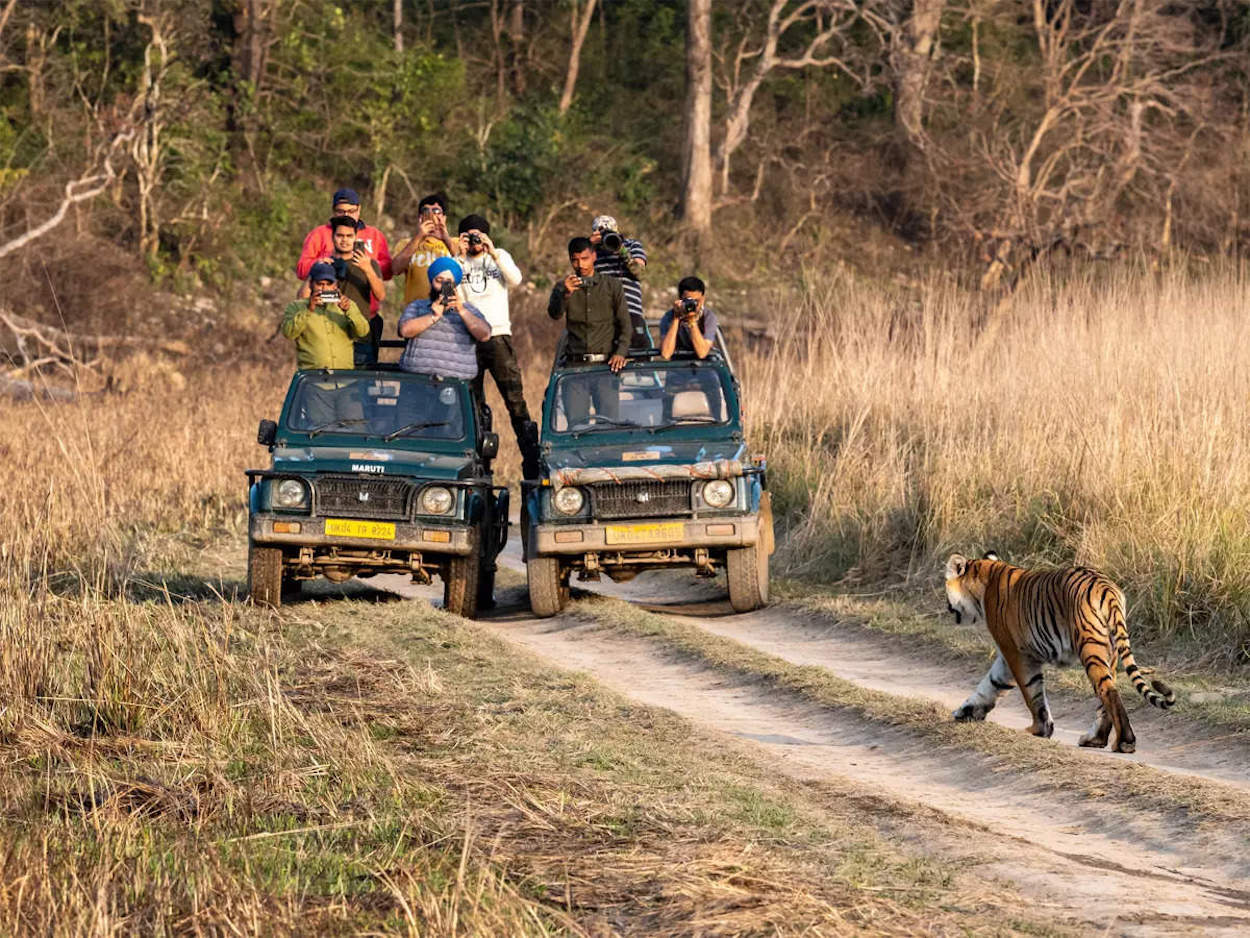 Jim Corbett National Park